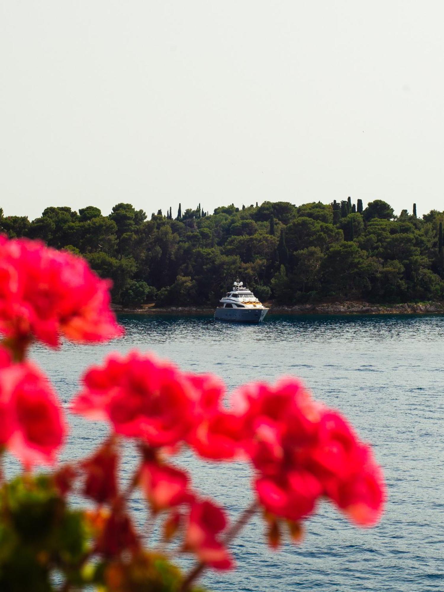 La Casa Isabella Daire Rovinj Dış mekan fotoğraf